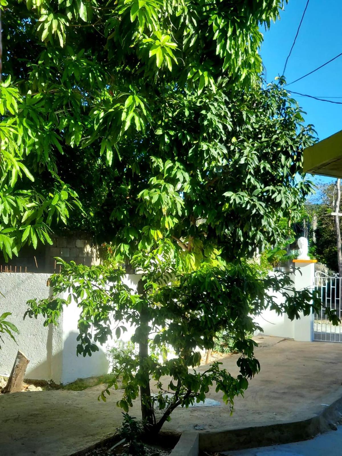 Cas Bed And Breakfast Corral Spring Luaran gambar